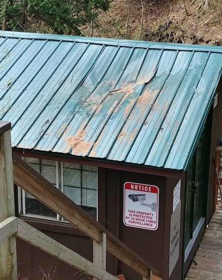 Tree damage to hatchery